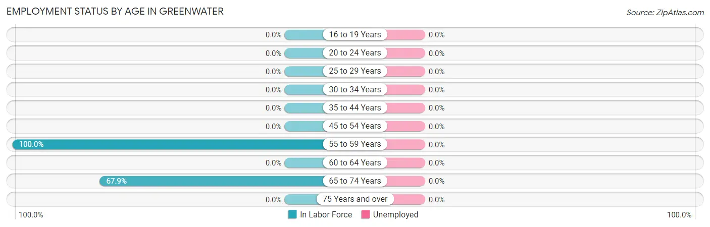Employment Status by Age in Greenwater