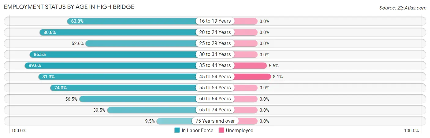 Employment Status by Age in High Bridge