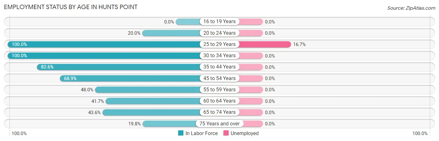 Employment Status by Age in Hunts Point