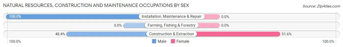 Natural Resources, Construction and Maintenance Occupations by Sex in Kitsap Lake