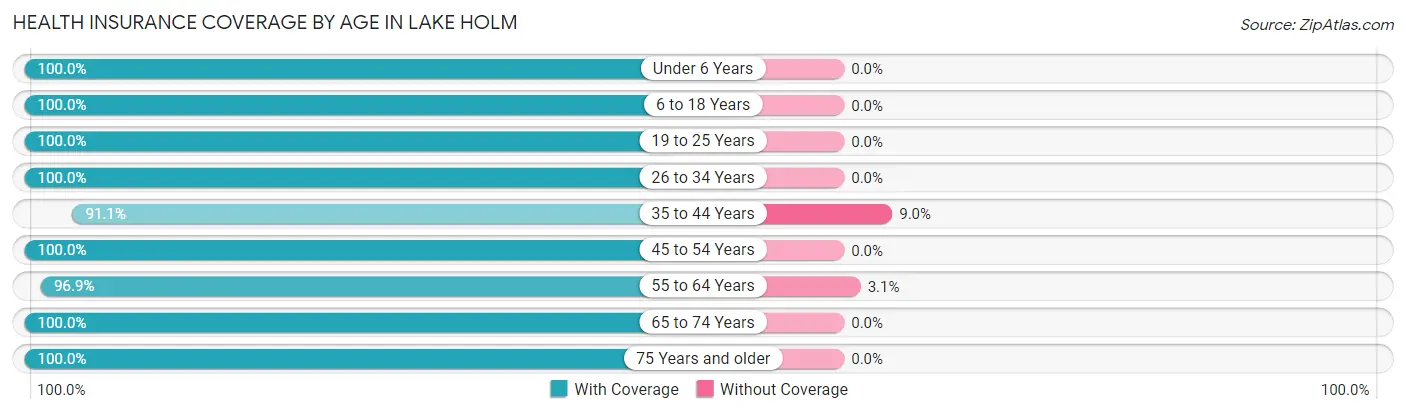 Health Insurance Coverage by Age in Lake Holm