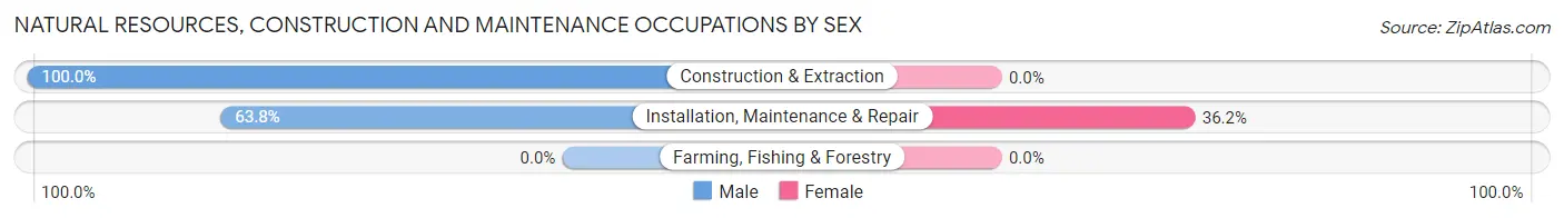 Natural Resources, Construction and Maintenance Occupations by Sex in Lake Shore
