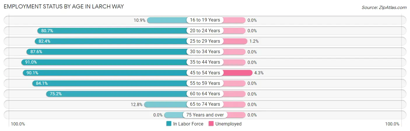 Employment Status by Age in Larch Way