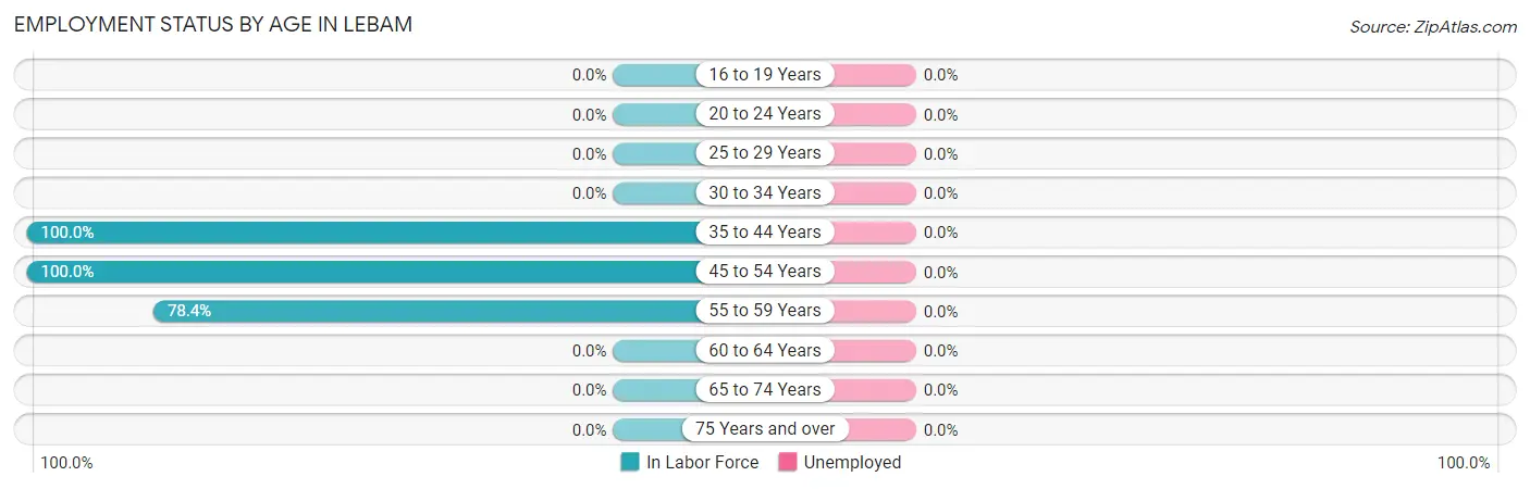 Employment Status by Age in Lebam