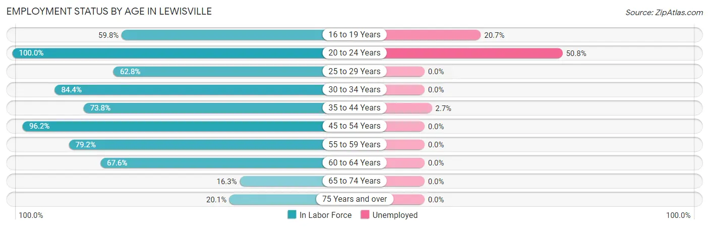Employment Status by Age in Lewisville