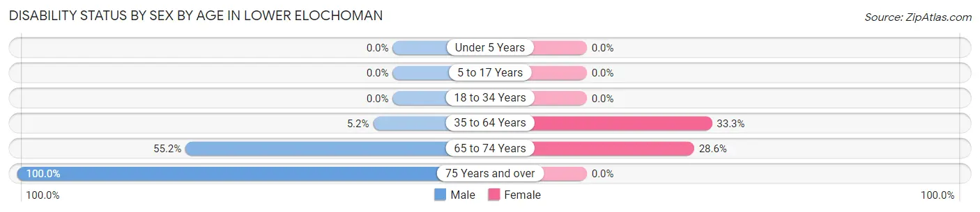 Disability Status by Sex by Age in Lower Elochoman