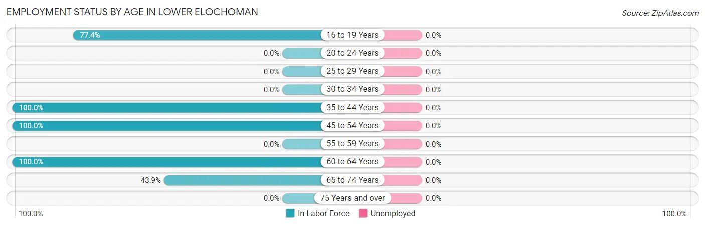 Employment Status by Age in Lower Elochoman