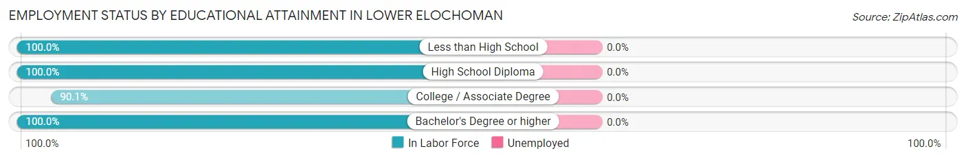 Employment Status by Educational Attainment in Lower Elochoman