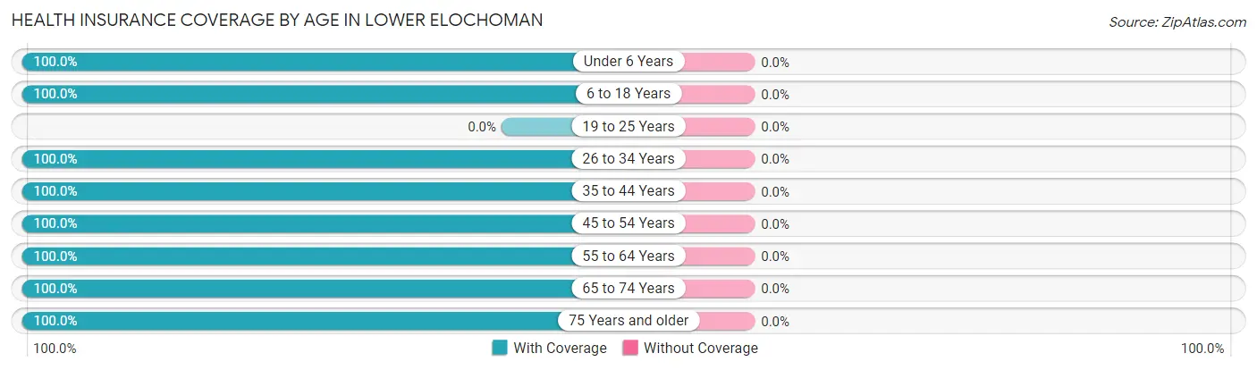 Health Insurance Coverage by Age in Lower Elochoman