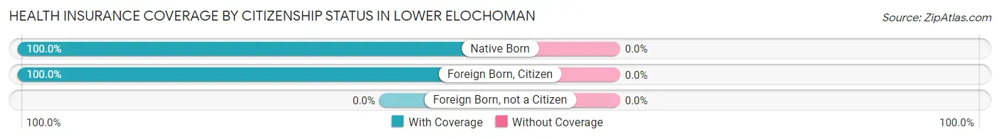 Health Insurance Coverage by Citizenship Status in Lower Elochoman