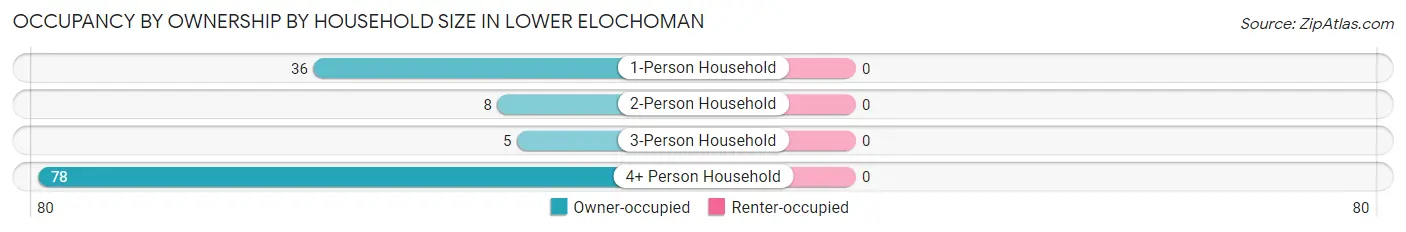Occupancy by Ownership by Household Size in Lower Elochoman