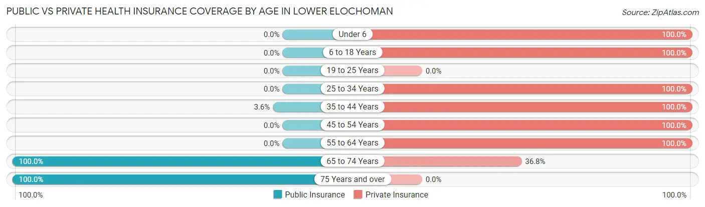 Public vs Private Health Insurance Coverage by Age in Lower Elochoman