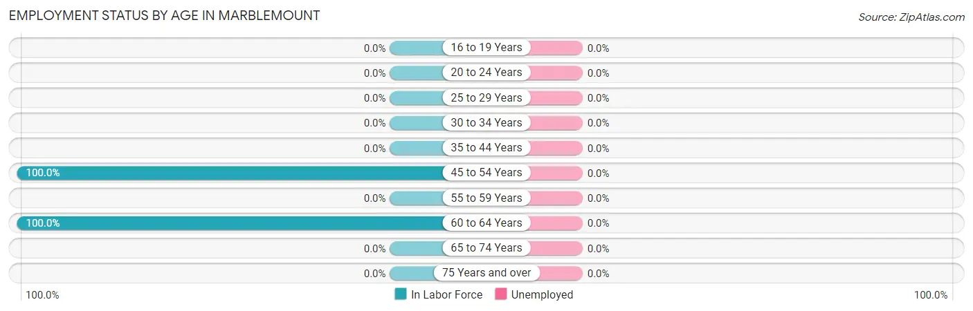 Employment Status by Age in Marblemount