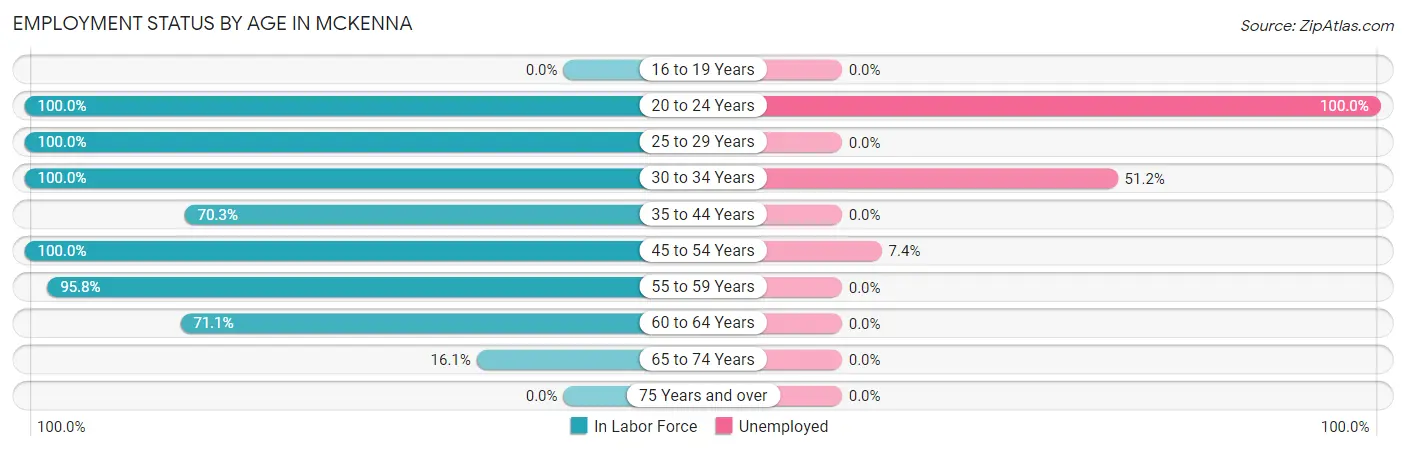 Employment Status by Age in Mckenna