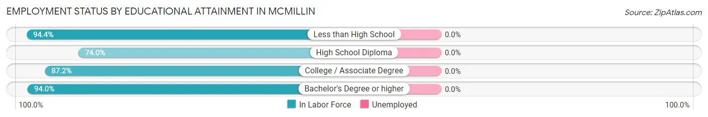 Employment Status by Educational Attainment in McMillin