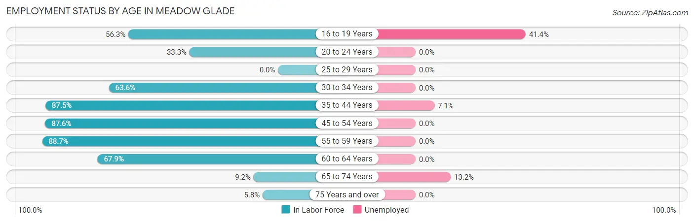 Employment Status by Age in Meadow Glade
