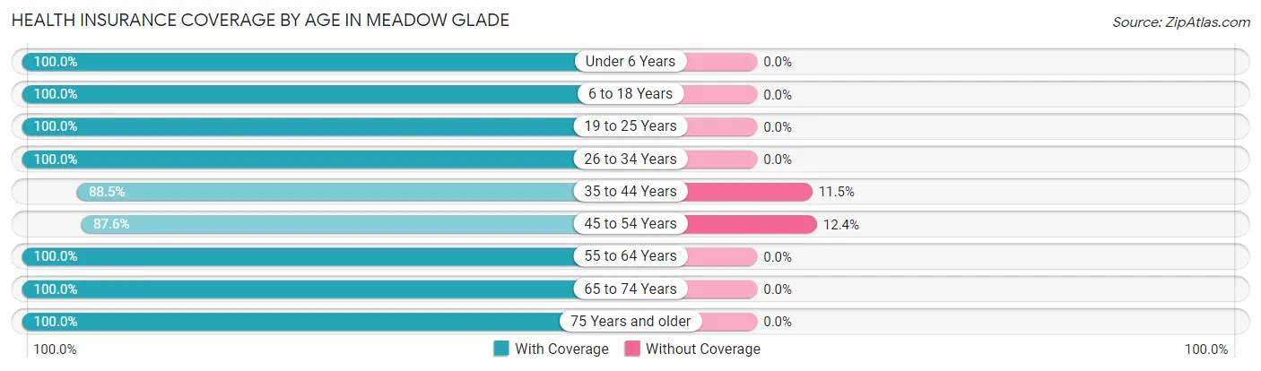 Health Insurance Coverage by Age in Meadow Glade