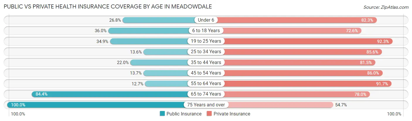 Public vs Private Health Insurance Coverage by Age in Meadowdale