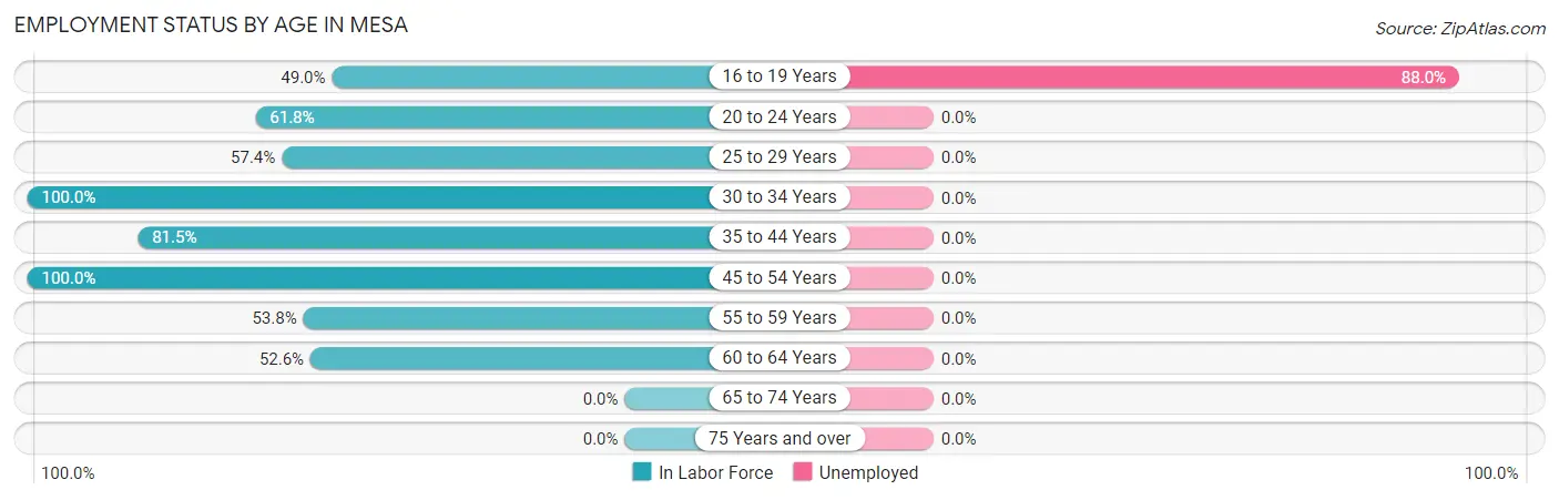Employment Status by Age in Mesa