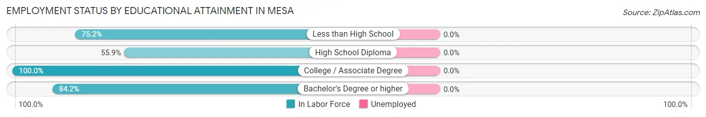 Employment Status by Educational Attainment in Mesa