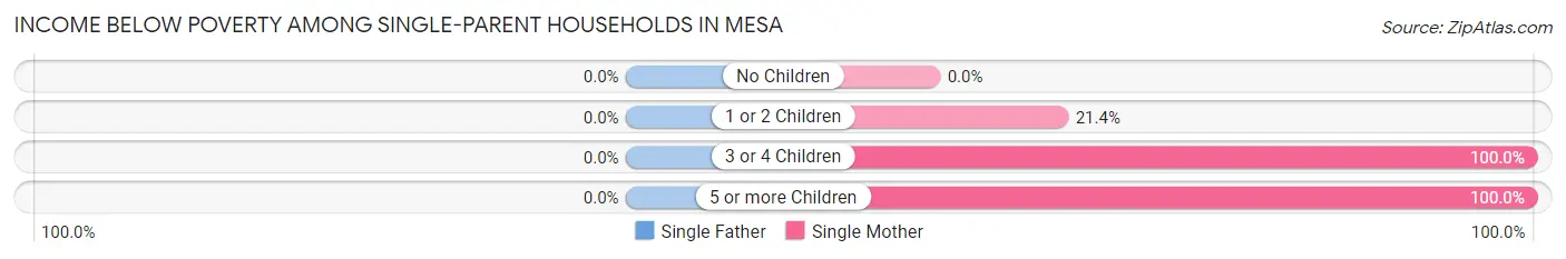Income Below Poverty Among Single-Parent Households in Mesa