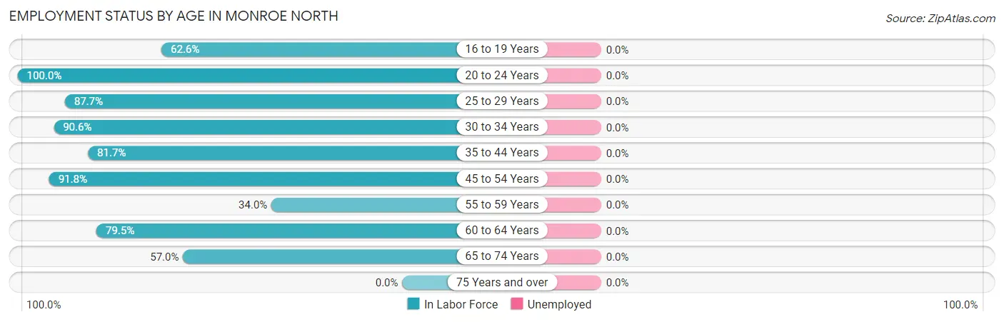 Employment Status by Age in Monroe North