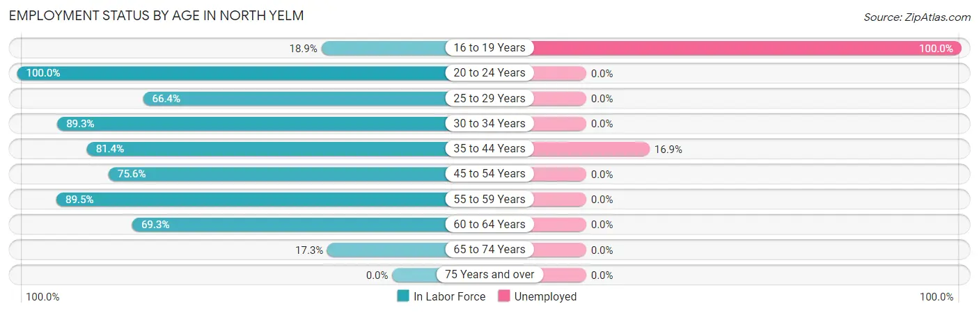 Employment Status by Age in North Yelm