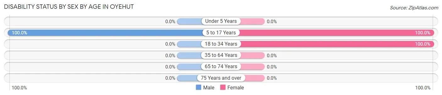 Disability Status by Sex by Age in Oyehut