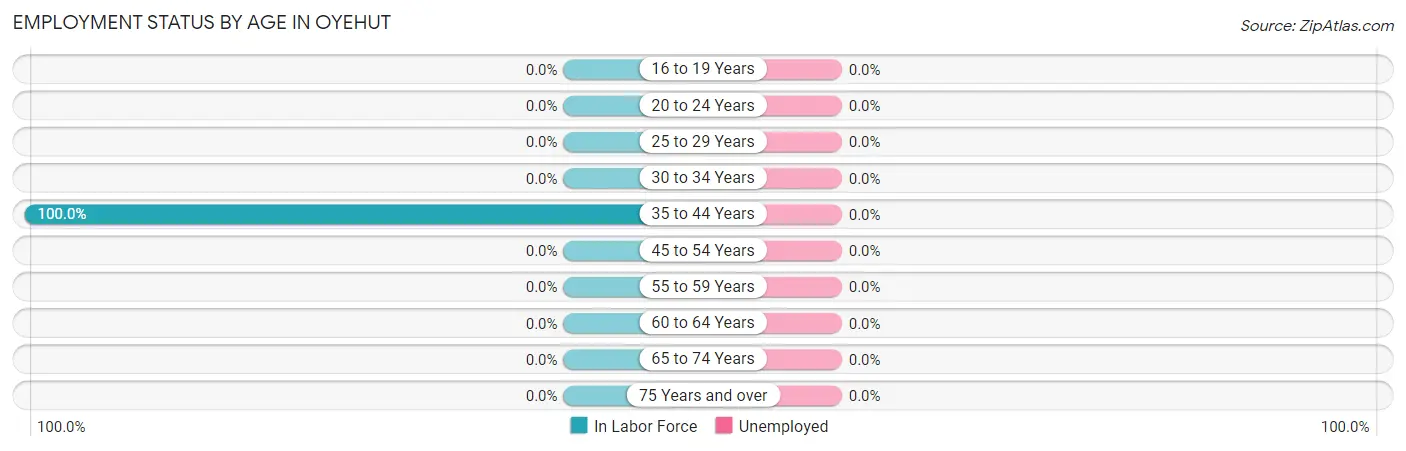 Employment Status by Age in Oyehut