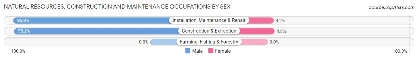 Natural Resources, Construction and Maintenance Occupations by Sex in Pacific