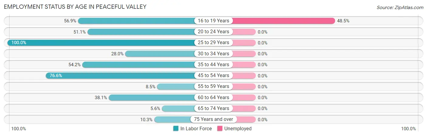 Employment Status by Age in Peaceful Valley