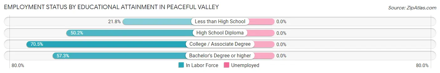 Employment Status by Educational Attainment in Peaceful Valley