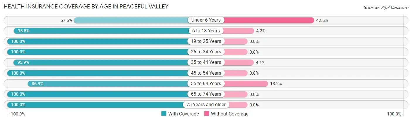 Health Insurance Coverage by Age in Peaceful Valley