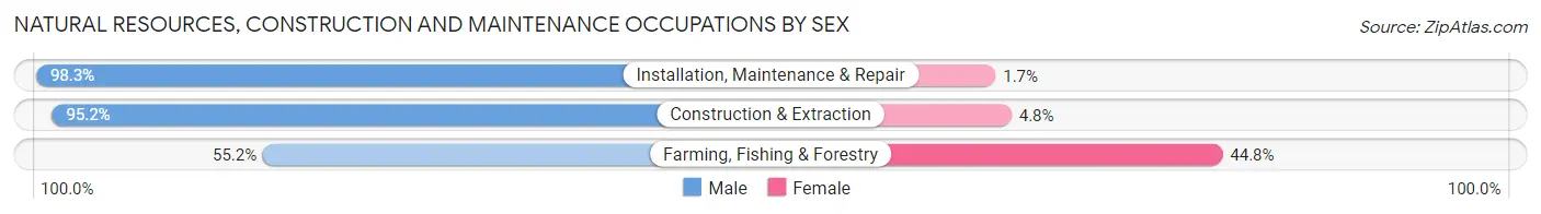 Natural Resources, Construction and Maintenance Occupations by Sex in Richland