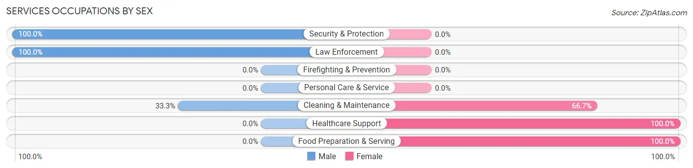 Services Occupations by Sex in Satsop