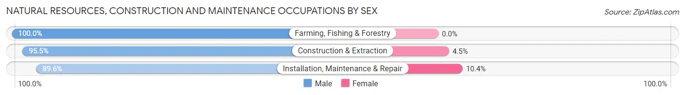 Natural Resources, Construction and Maintenance Occupations by Sex in Shoreline