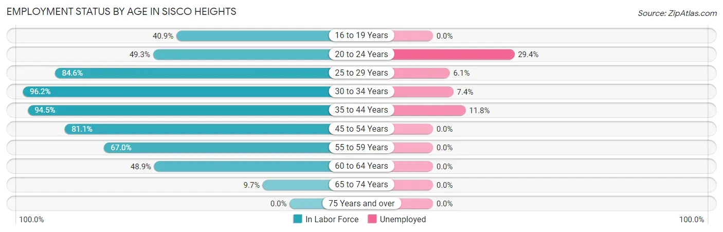 Employment Status by Age in Sisco Heights