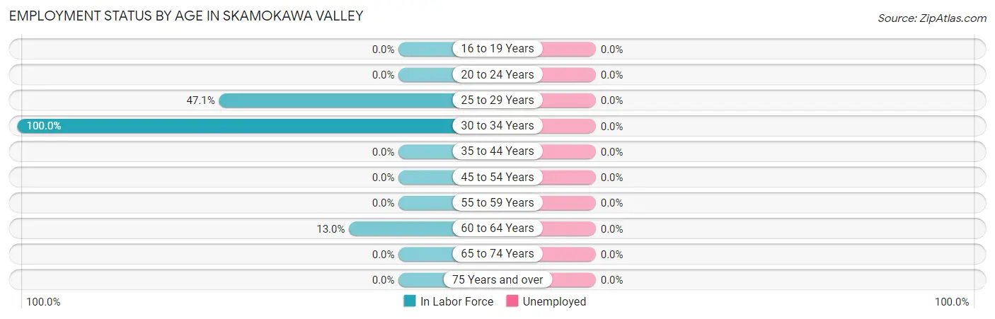 Employment Status by Age in Skamokawa Valley