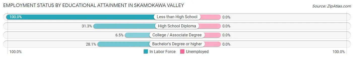 Employment Status by Educational Attainment in Skamokawa Valley