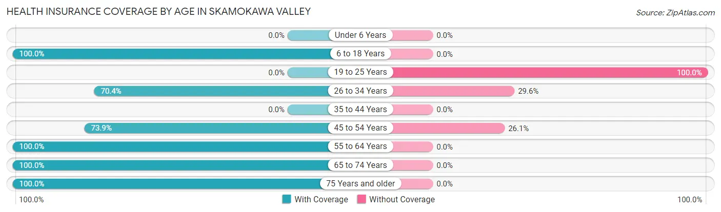 Health Insurance Coverage by Age in Skamokawa Valley