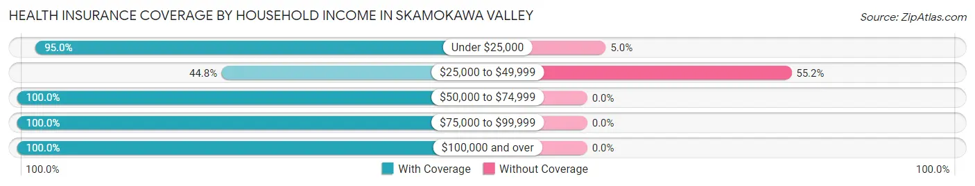 Health Insurance Coverage by Household Income in Skamokawa Valley