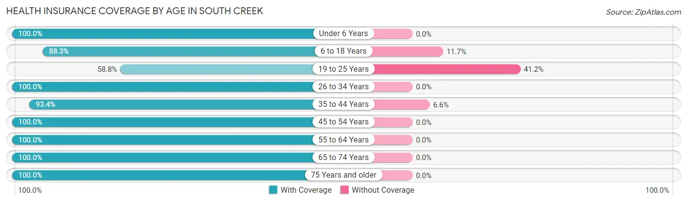 Health Insurance Coverage by Age in South Creek
