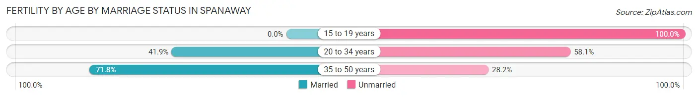 Female Fertility by Age by Marriage Status in Spanaway