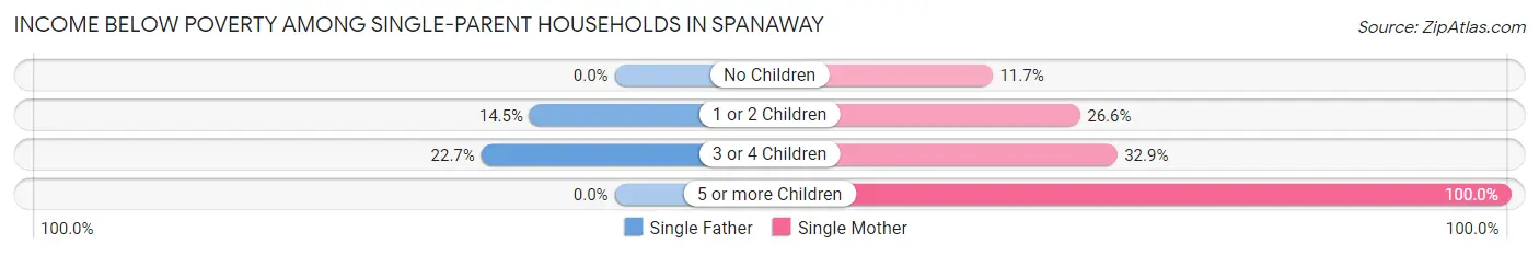 Income Below Poverty Among Single-Parent Households in Spanaway