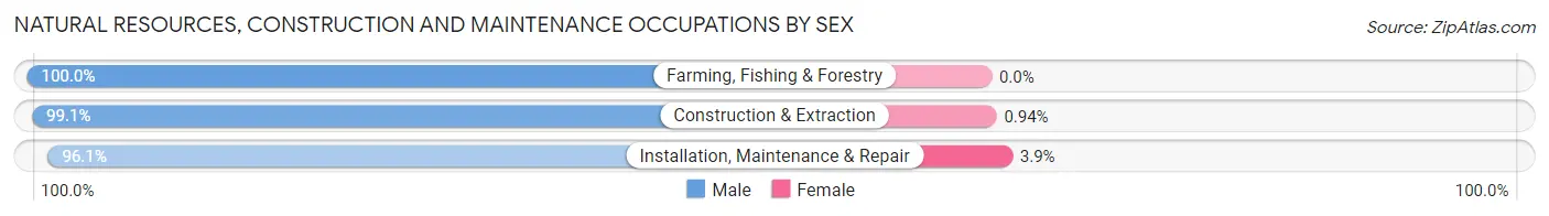 Natural Resources, Construction and Maintenance Occupations by Sex in Spanaway