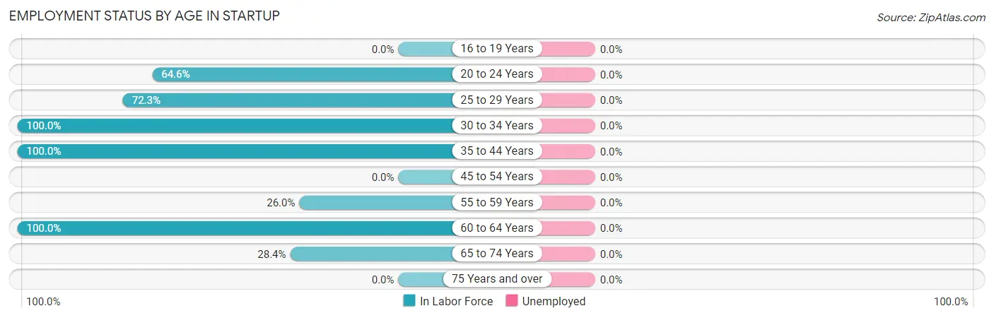 Employment Status by Age in Startup