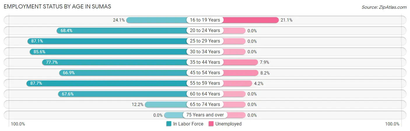 Employment Status by Age in Sumas
