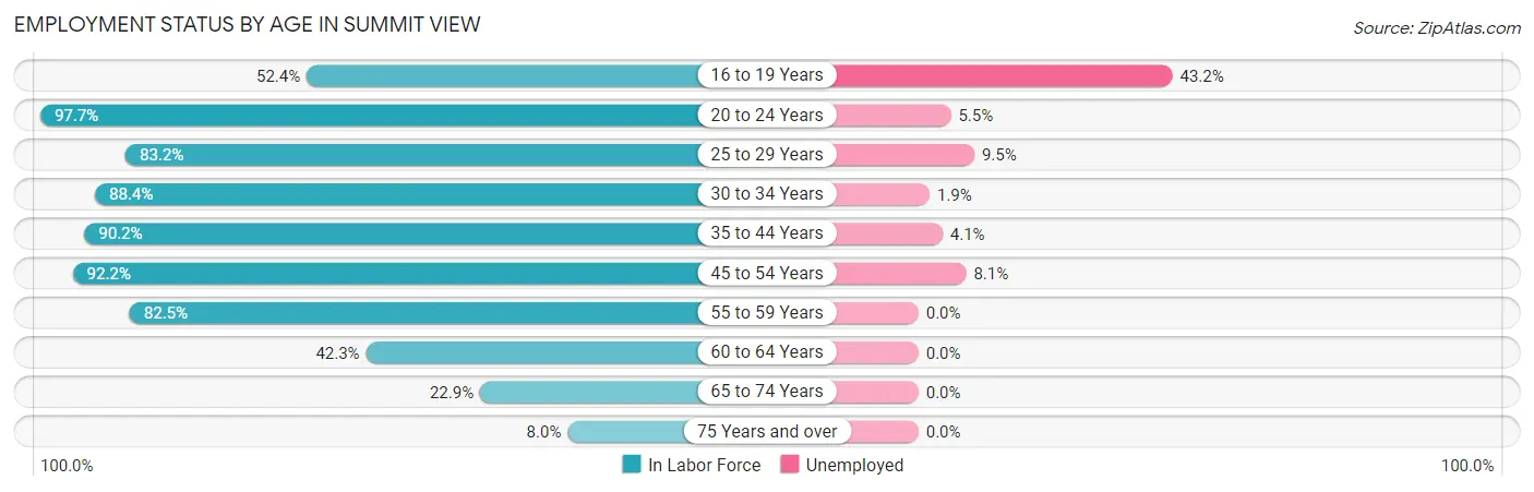 Employment Status by Age in Summit View