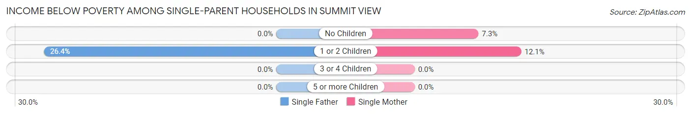 Income Below Poverty Among Single-Parent Households in Summit View