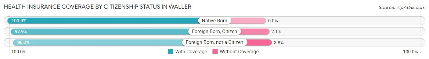 Health Insurance Coverage by Citizenship Status in Waller